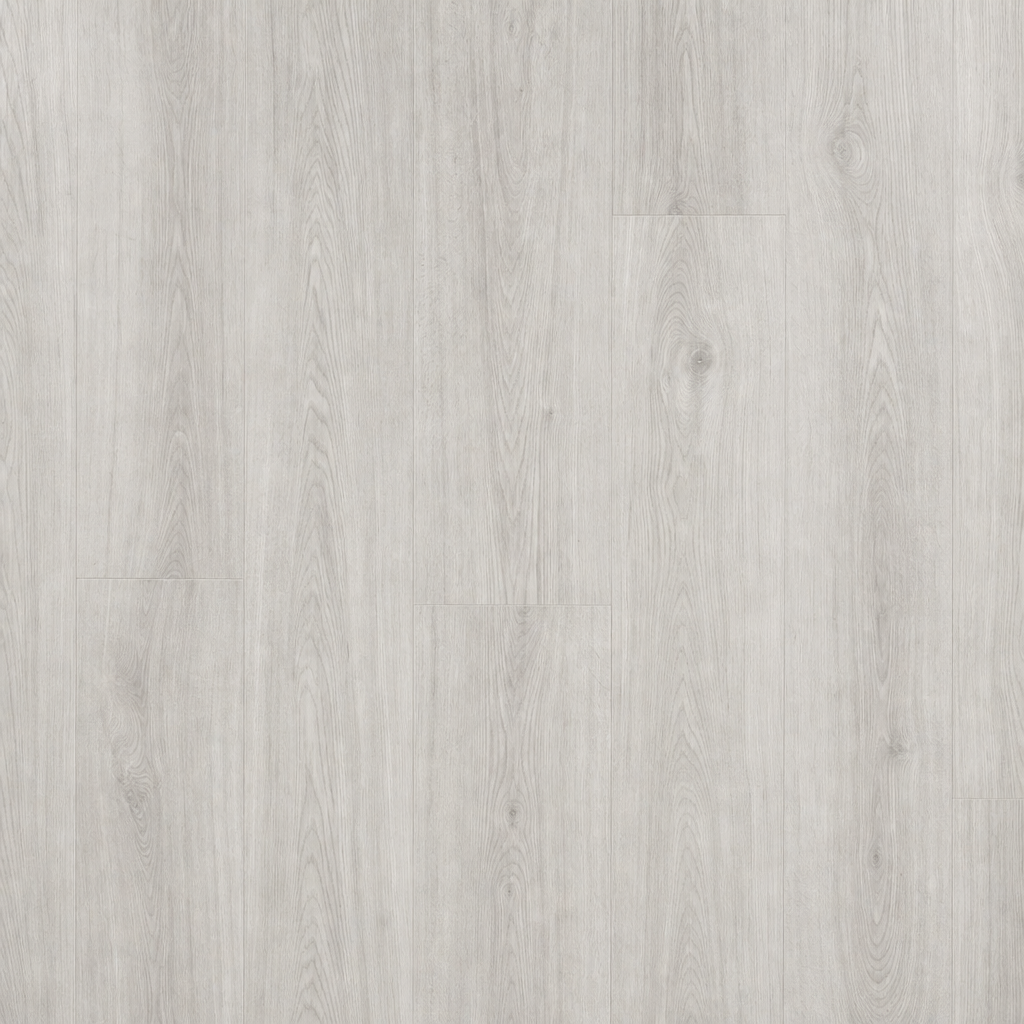 BISCAY Moonlight Grey flooring tone — clean high-resolution preview
