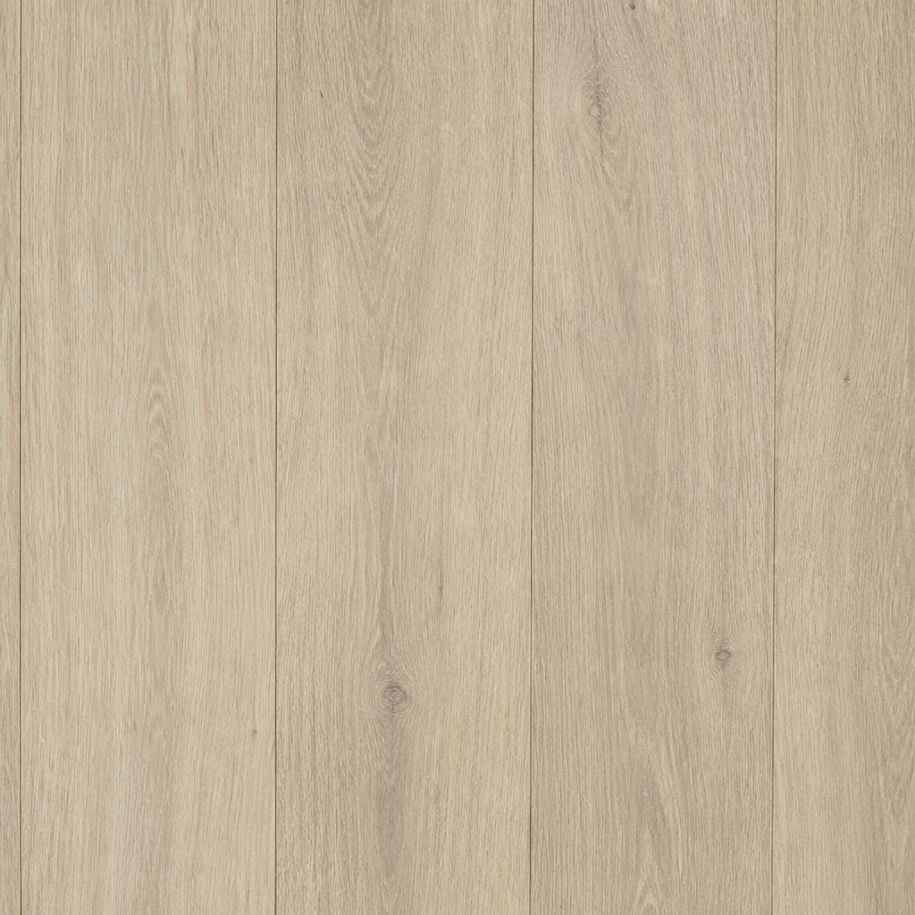 Carmina Bare Earth flooring tone — clean high-resolution preview