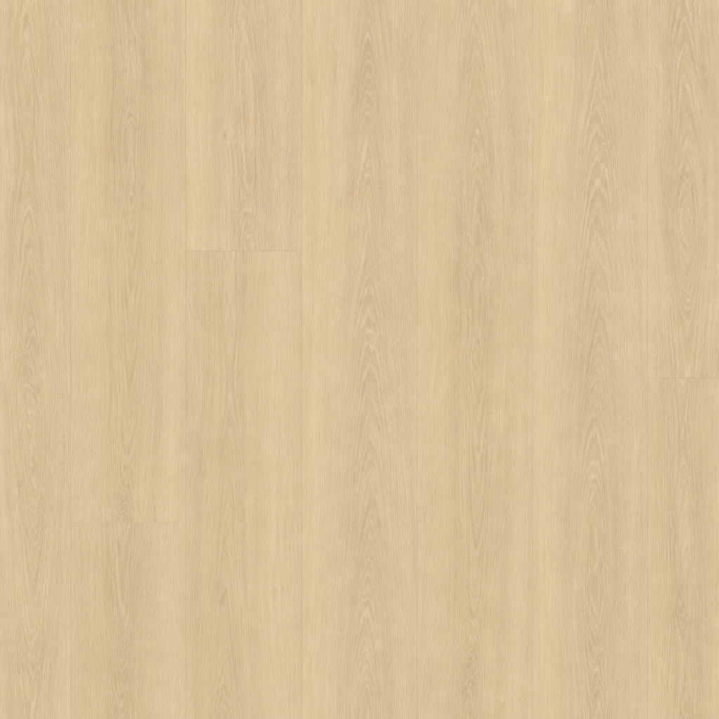 Catalan Bare Earth flooring tone — clean high-resolution preview