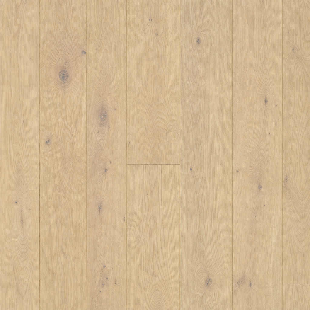 LOIRE Bare Earth flooring tone — clean high-resolution preview