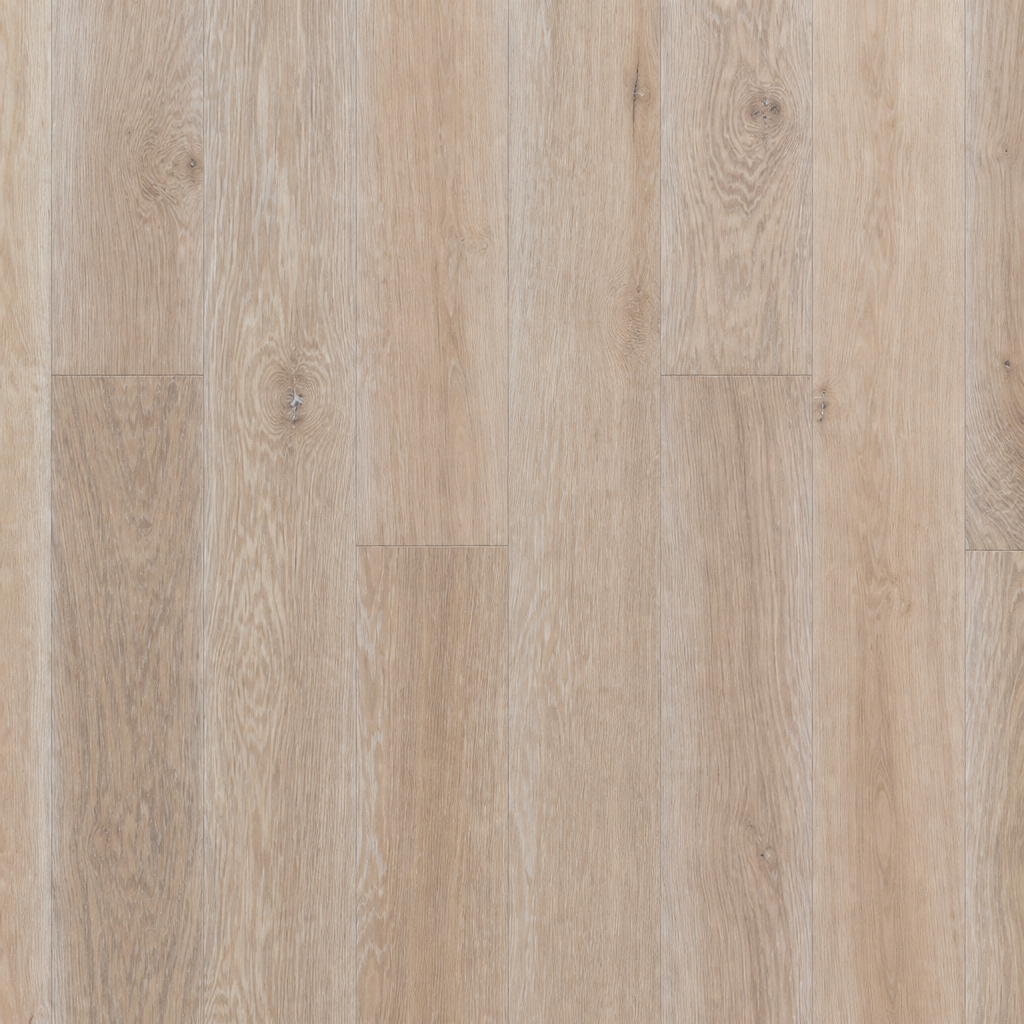 Moldava Bare Earth flooring tone — clean high-resolution preview