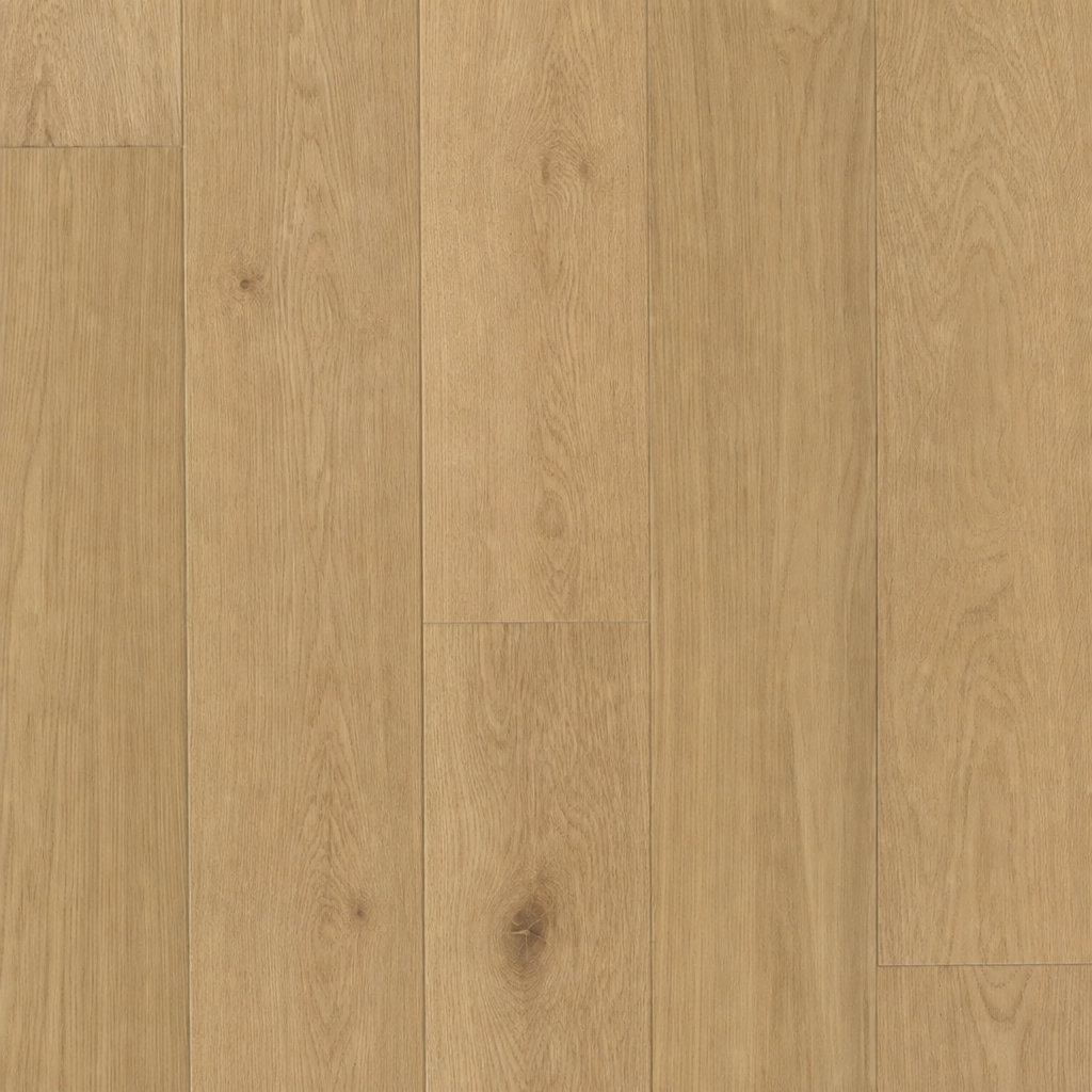 PRAVA Bare Earth flooring tone — clean high-resolution preview