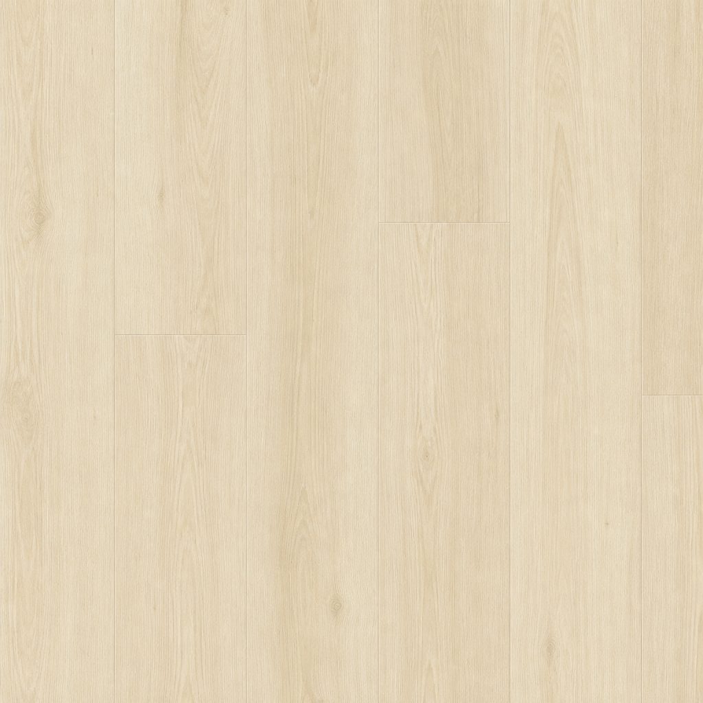 Saint Thomas Bare Earth flooring tone — clean high-resolution preview